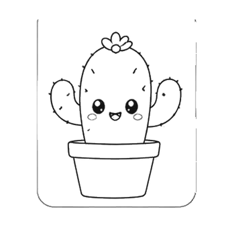 Contorno final de Cactus