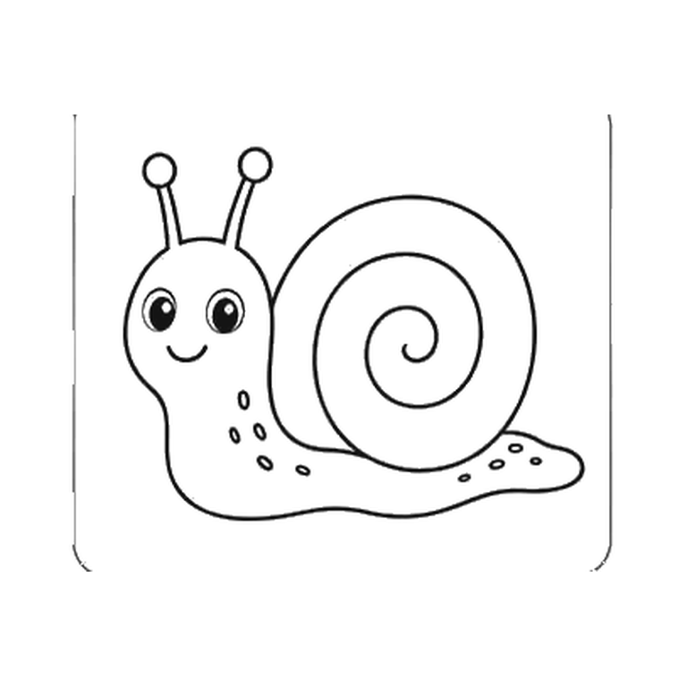 Contorno final de Caracol
